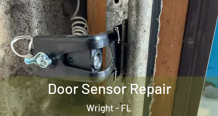  Door Sensor Repair Wright - FL