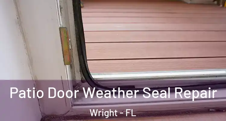  Patio Door Weather Seal Repair Wright - FL